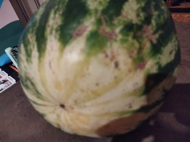 Watermelon