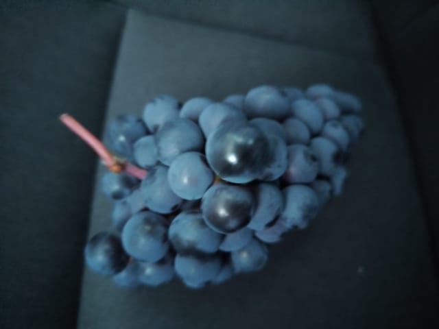 Your own garden grapes