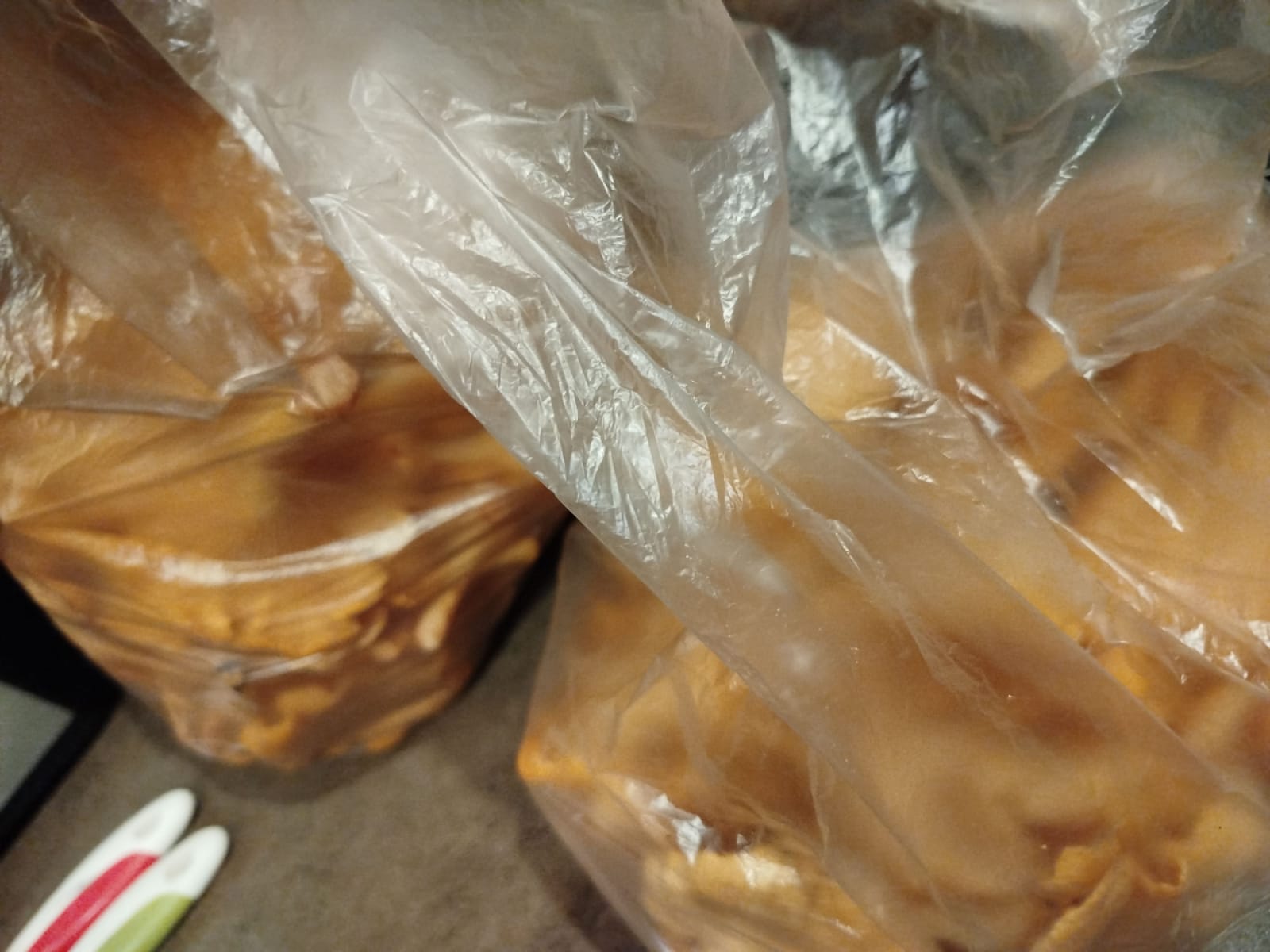 Fresh mushrooms
