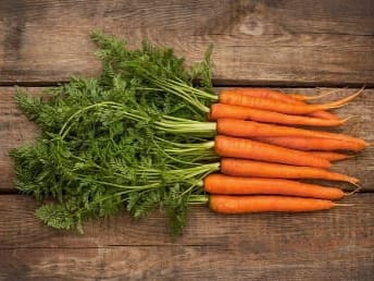 Fresh carrots