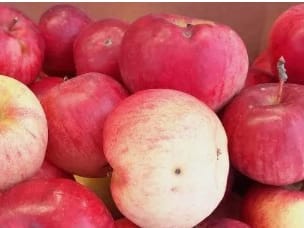 Apples