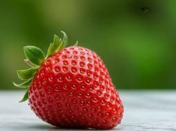 Sweet Estonian strawberry